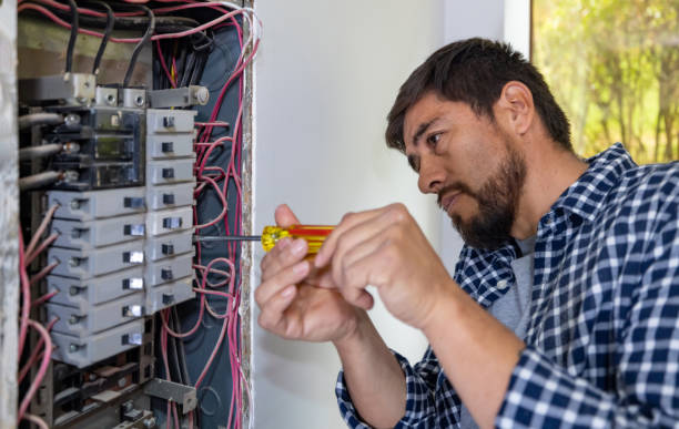 Best Generator Installation Services  in Mason City, IL